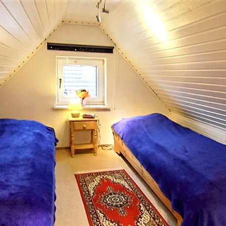 Modern 50m² + Garden