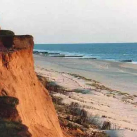 Modern 50m² + Garden 베스터란트