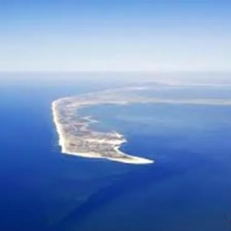 Modern 50m² + Garden