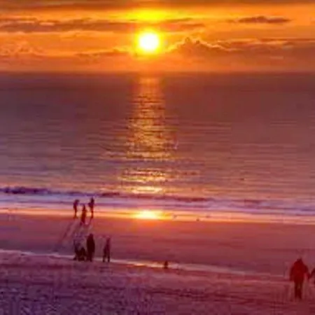 Modern 50m² + Garden 베스터란트