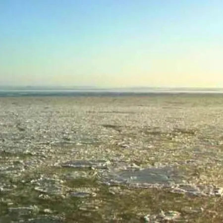 아파트 Modern 50m² + Garden